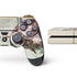 Creation of Adam by Michelangelo PS4 Console and Controller Bundle Skin