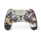 Creation of Adam by Michelangelo PS4 Controller Skin