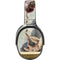 Creation of Adam by Michelangelo Skullcandy Venue Skin