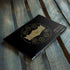 HBO House of the Dragon Crown and Sigils HP Envy Skin