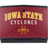 Iowa State University Collegiate Text Dell Alienware Skin