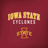 Iowa State University Collegiate Text Amazon Echo Skin