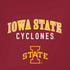 Iowa State University Collegiate Text iPhone XR Skin