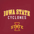 Iowa State University Collegiate Text iPhone XS Skin