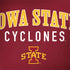 Iowa State University Collegiate Text Apple MacBook Pro 15-inch Skin