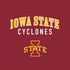 Iowa State University Collegiate Text Moto E5 Play Skin