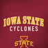 Iowa State University Collegiate Text Moto G6 Skin