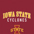 Iowa State University Collegiate Text Otterbox Commuter Galaxy Skin