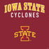 Iowa State University Collegiate Text PS4 Slim Skin