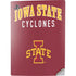 Iowa State University Collegiate Text PS5 Digital Edition Console Skin