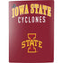 Iowa State University Collegiate Text PS5 Digital Edition Console Skin