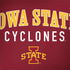 Iowa State University Collegiate Text HP Spectre Skin