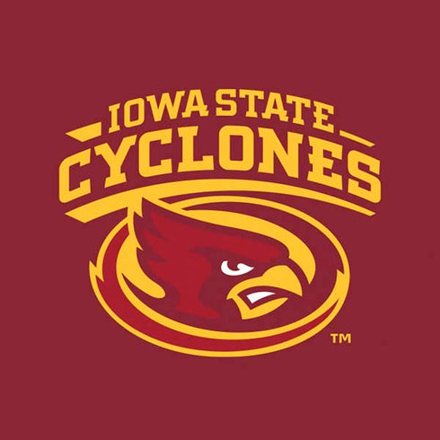 Iowa State University Cyclones Moto E5 Play Skin