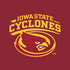 Iowa State University Cyclones Moto E5 Play Skin