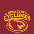 Iowa State University Cyclones Otterbox Commuter Galaxy Skin