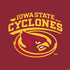 Iowa State University Cyclones PS4 Slim Skin