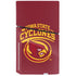 Iowa State University Cyclones PS5 Slim Disk Bundle Skin
