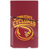 Iowa State University Cyclones PS5 Slim Disk Console Skin