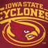 Iowa State University Cyclones HP Spectre Skin