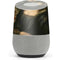 Leonardo da Vinci Mona Lisa Google Home Skin