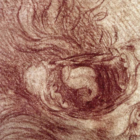 Leonardo da Vinci Sketch of a roaring lion Nintendo 2DS XL (2017) Skin