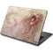 Leonardo da Vinci Sketch of a roaring lion Dell Chromebook Skin