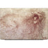 Leonardo da Vinci Sketch of a roaring lion Dell Vostro Skin