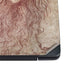 Leonardo da Vinci Sketch of a roaring lion Dell Vostro Skin