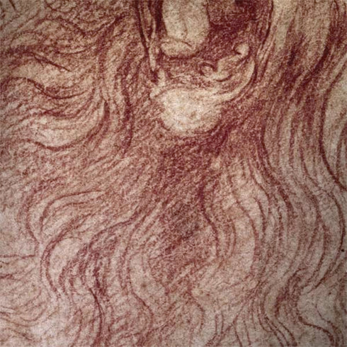 Leonardo da Vinci Sketch of a roaring lion Galaxy Note 8 Skin