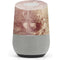 Leonardo da Vinci Sketch of a roaring lion Google Home Skin