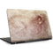 Leonardo da Vinci Sketch of a roaring lion Dell Inspiron Skin