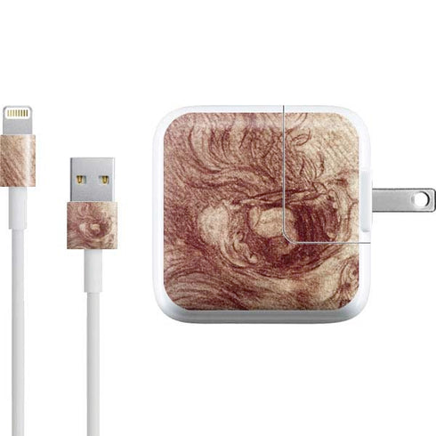 Leonardo da Vinci Sketch of a roaring lion iPad Charger (10W USB) Skin