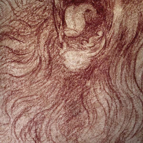 Leonardo da Vinci Sketch of a roaring lion iPhone X Pro Case