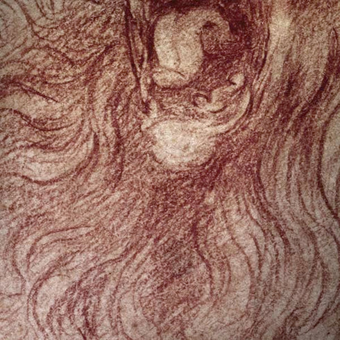 Leonardo da Vinci Sketch of a roaring lion iPhone X Skin