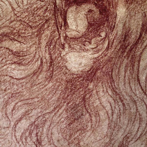 Leonardo da Vinci Sketch of a roaring lion iPhone XR Skin