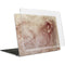 da Vinci - Sketch of a roaring lion by Da Vinci MacBook Air 15in (2023-2025) Case plus Skin