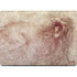 da Vinci - Sketch of a roaring lion by Da Vinci MacBook Pro 14in (2021-24) Skin