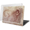 Leonardo da Vinci Sketch of a roaring lion MacBook Pro 15in (2016-19) Case plus Skin