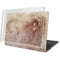 Leonardo da Vinci Sketch of a roaring lion MacBook Pro 16in (2019-20) Case plus Skin