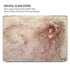 da Vinci - Sketch of a roaring lion by Da Vinci MacBook Pro 16in (2021-25) Case plus Skin