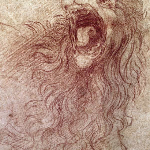 Leonardo da Vinci Sketch of a roaring lion PS4 Pro Bundle Skin