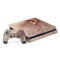 Leonardo da Vinci Sketch of a roaring lion PS4 Slim Bundle Skin
