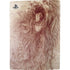 Leonardo da Vinci Sketch of a roaring lion PS5 Bundle Skin