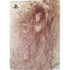 Leonardo da Vinci Sketch of a roaring lion PS5 Digital Edition Console Skin