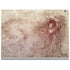Leonardo da Vinci Sketch of a roaring lion Surface Book 2 15in Skin