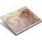 Leonardo da Vinci Sketch of a roaring lion Surface Book Skin