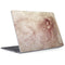 Leonardo da Vinci Sketch of a roaring lion Surface Laptop 2 Skin