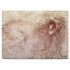 Leonardo da Vinci Sketch of a roaring lion Surface Laptop 3 13.5in Skin