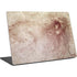 Leonardo da Vinci Sketch of a roaring lion Surface Laptop 4 15in Skin