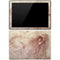 Leonardo da Vinci Sketch of a roaring lion Surface Pro 3 Skin
